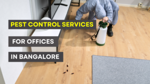 My Raksha : Pest control services for offices in Bangalore